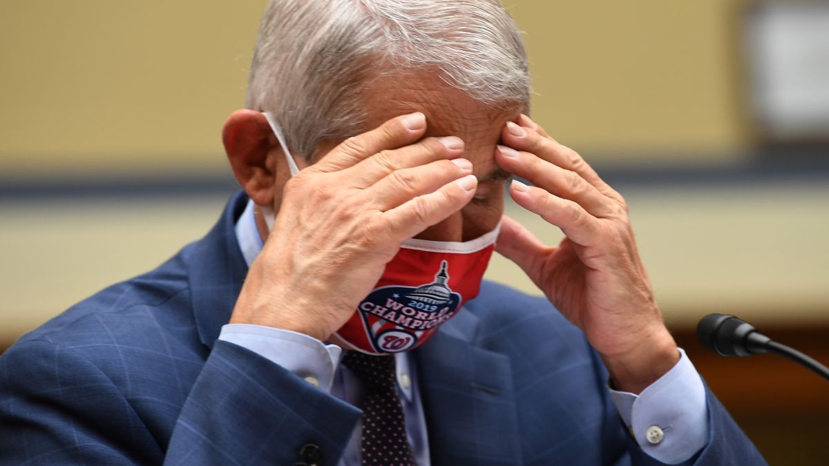 Dr. Anthony Fauci, Director of the National Institute for Allergy and Infectious Diseases, testifies before a House Subcommittee on the Coronavirus Crisis hearing on Capitol Hill on July 31, 2020 in Washington, D.C.