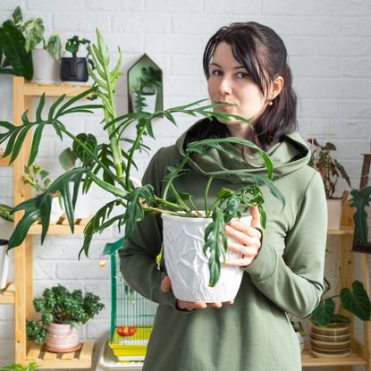 A woman holding a potted monstera plant stares into the camera
