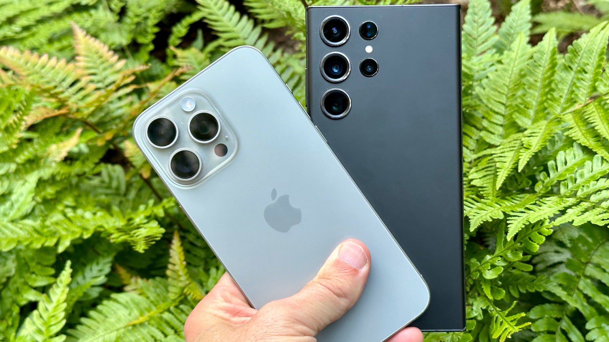 iPhone 15 Pro Max Camera vs. Galaxy S23 Ultra: Smartphone Shootout