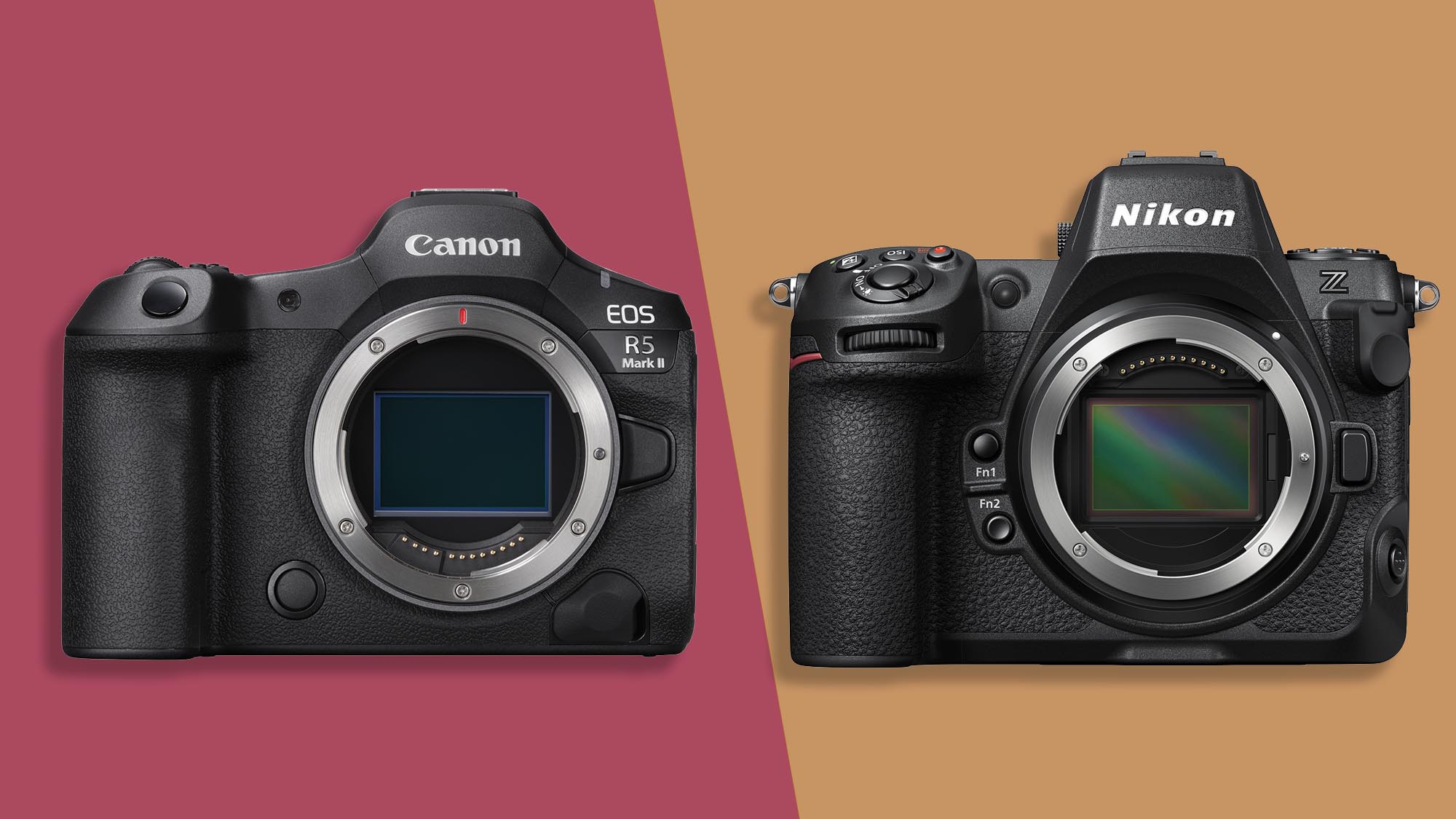 Canon EOS R5 Mark II alongside the Nikon Z8