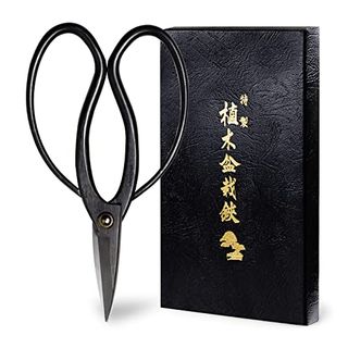 Wazakura Bonsai Scissors 