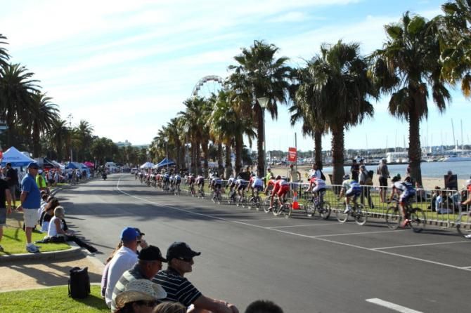 The peloton races along the bay