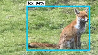 Simulated image of a fox being identified by an algorithm