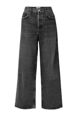 AGOLDE Low Slung Baggy jeans