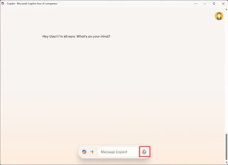 Copilot voice feature