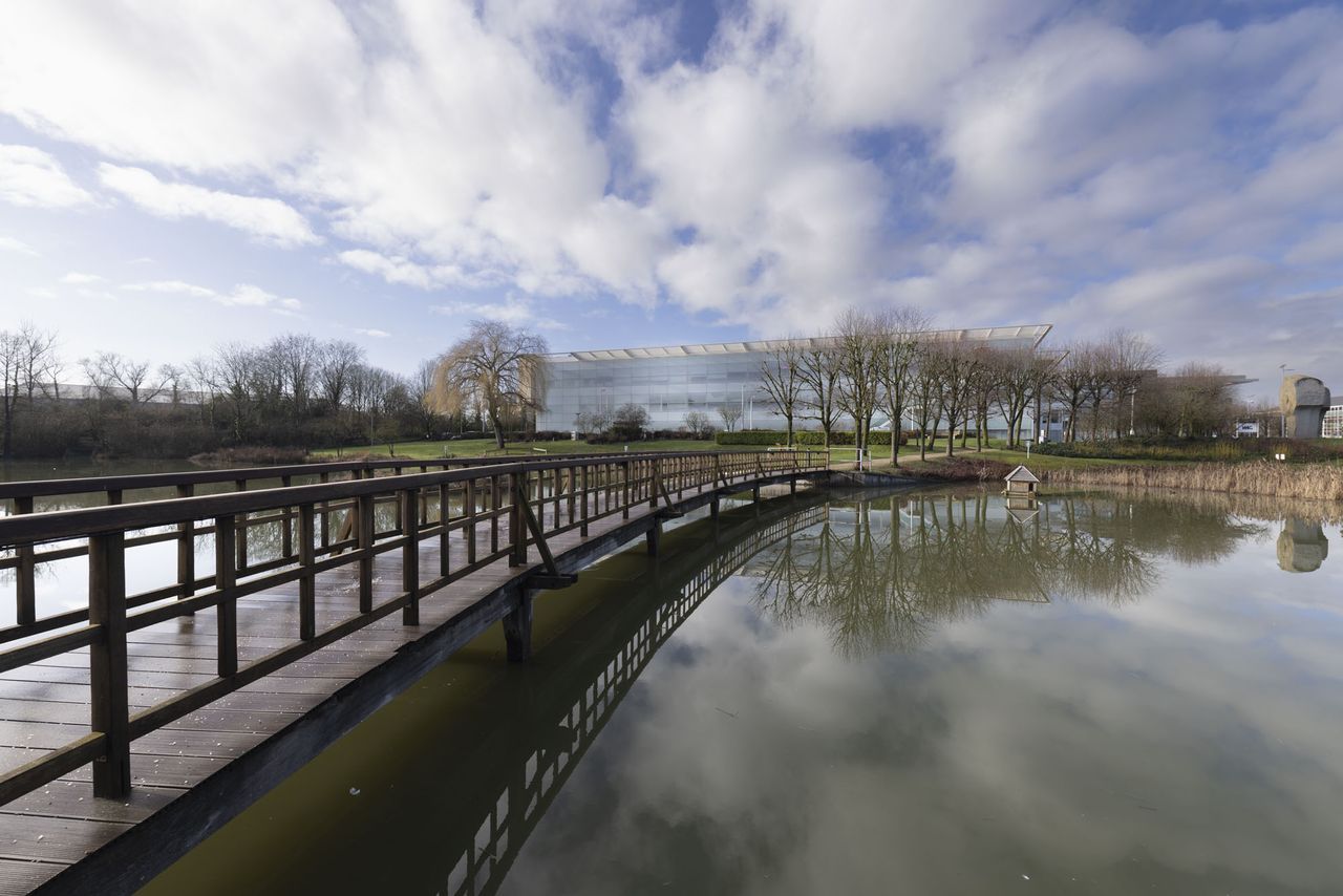 Canon RF 14mm F1.4L VCM sample image gallery: a wooden bridge over a lake