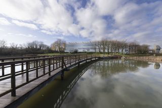 Canon RF 14mm F1.4L VCM sample image gallery: a wooden bridge over a lake