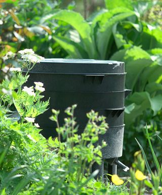 worm compost bin in garden