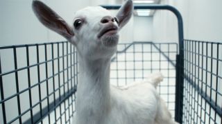 A close up of a goat in a trolly in Severance season 2's final episode