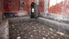 A private bathhouse recently discovered in the Pompeii archeological site