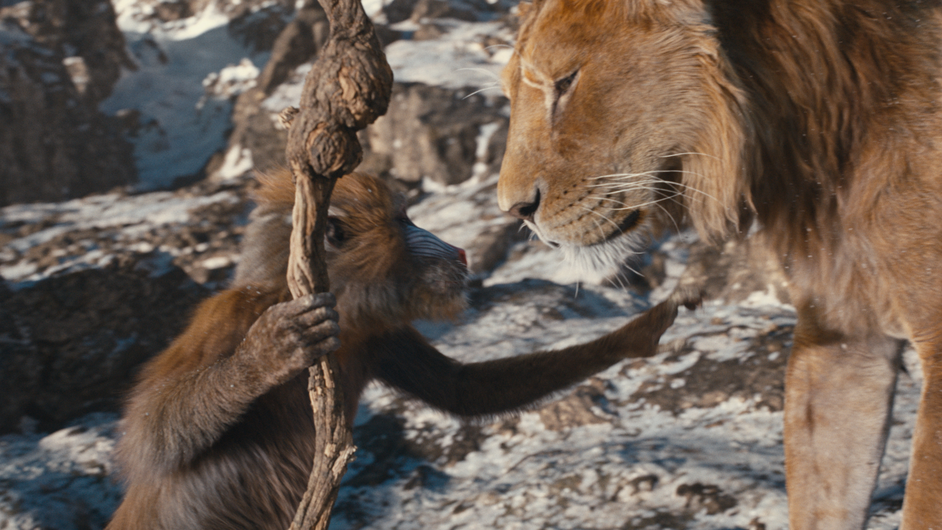 Rafiki and Mufasa share a tender moment in Mufasa: The Lion King