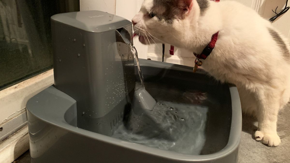 PetSafe Drinkwell Water Fountain review Tom's Guide