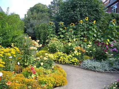 Full Colorful Flowered Garden