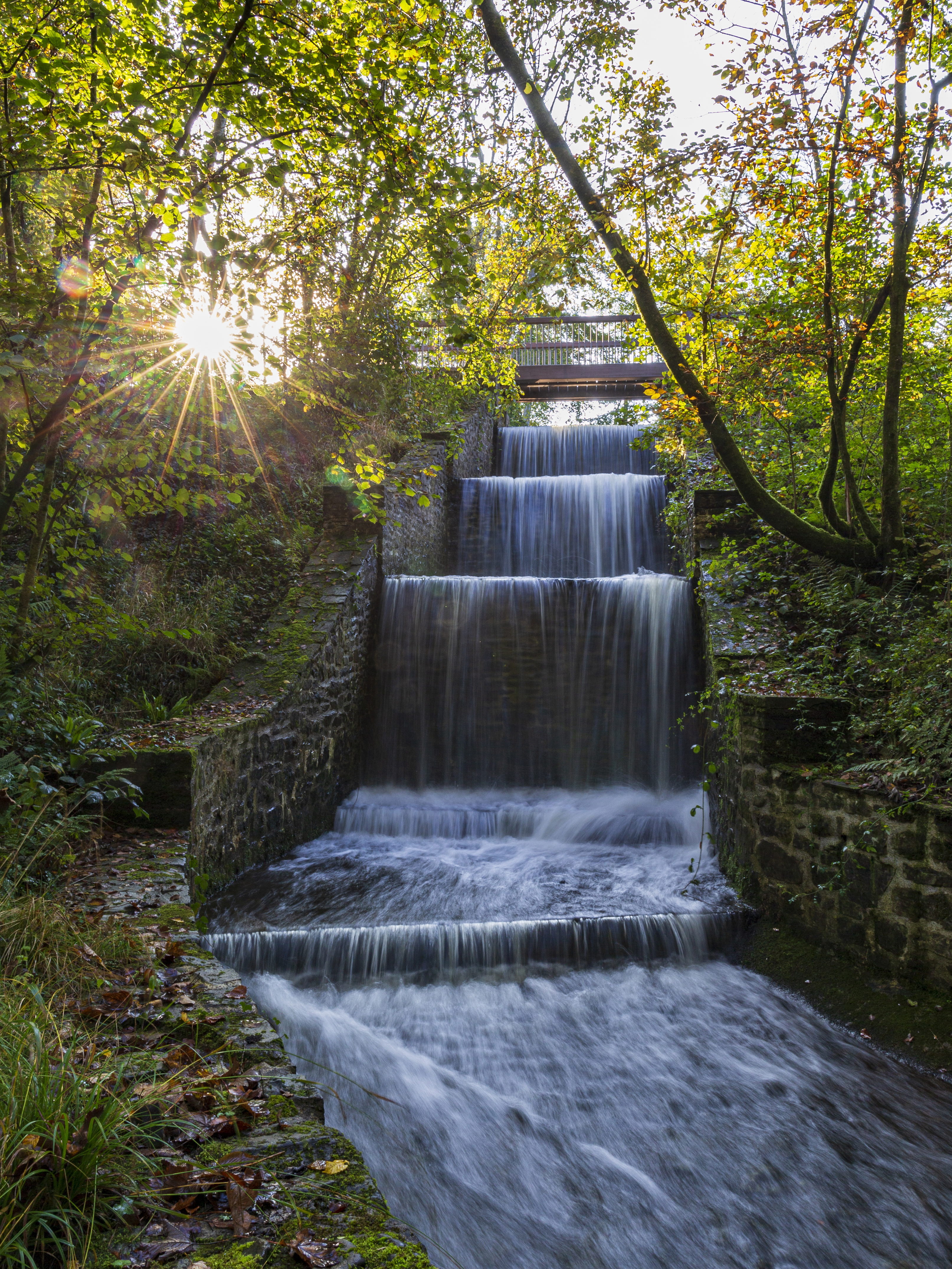The National Botanic Garden of Wales