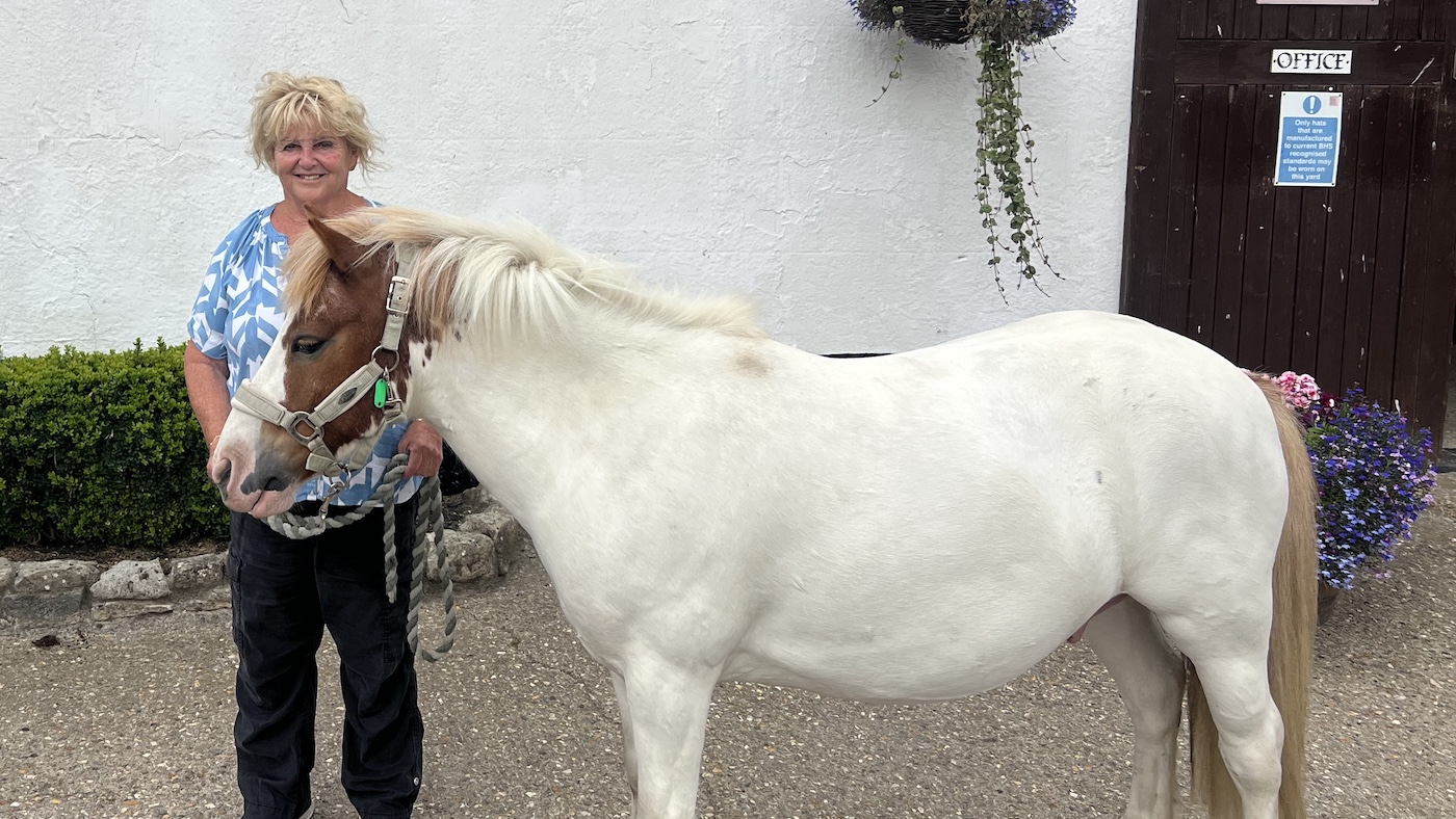 Grovely Riding Centre