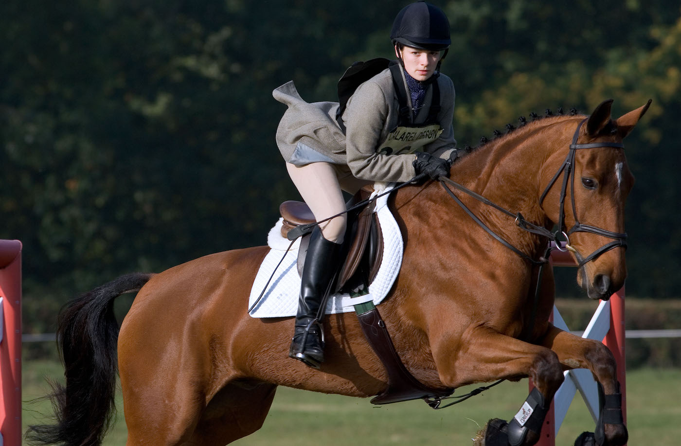 Girl showjumping bay horse, looking focused
