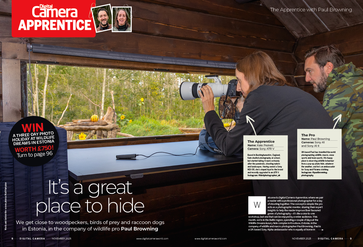 Image showing the first two pages of the Apprentice article in issue 300 (November 2025) of Digital Camera magazine, a masterclass in photographing birds at the Wildlife Dreams nature reserve in Krootuse, Estonia