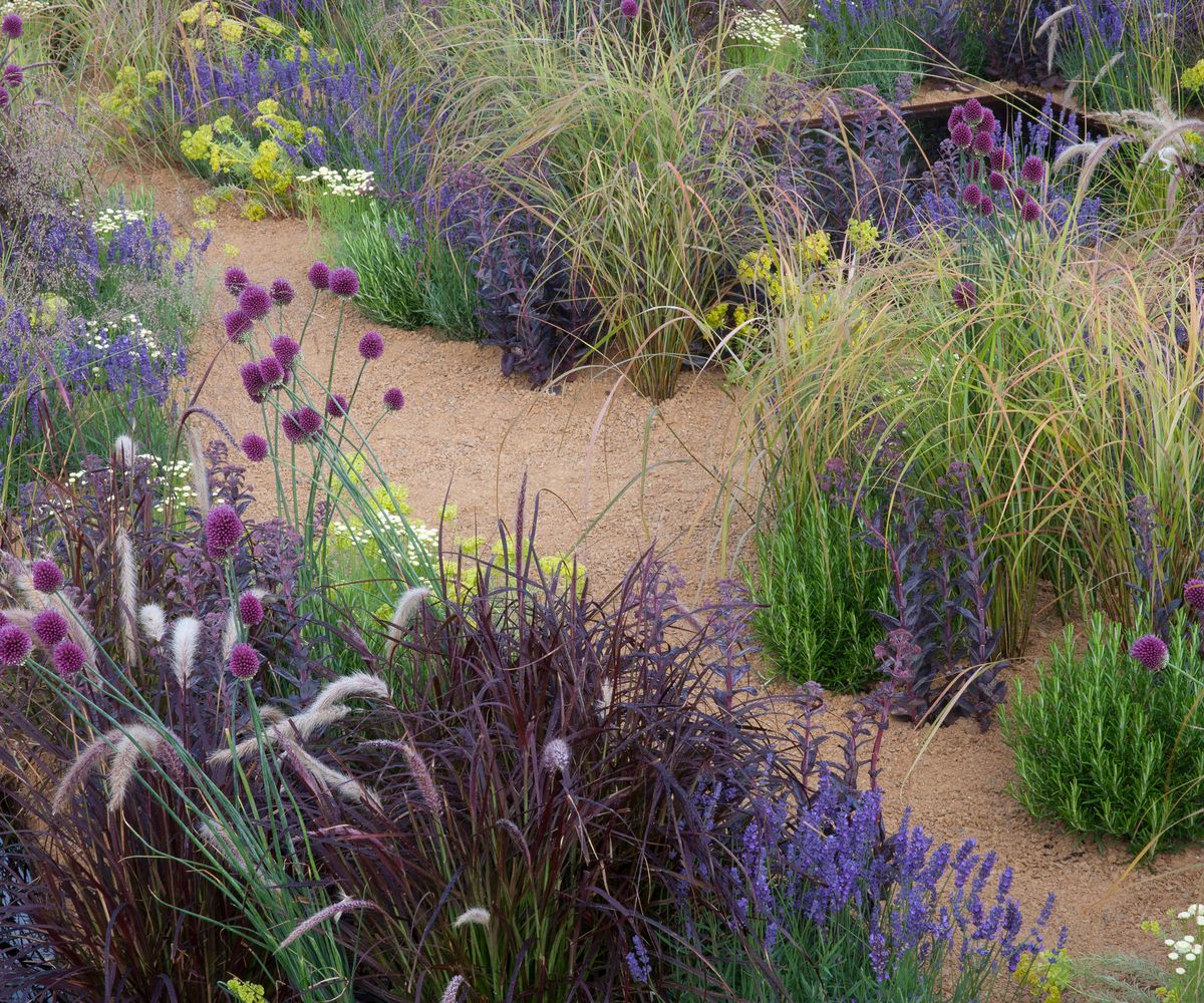 Mediterranean garden ideas: plants, design and materials | Homebuilding