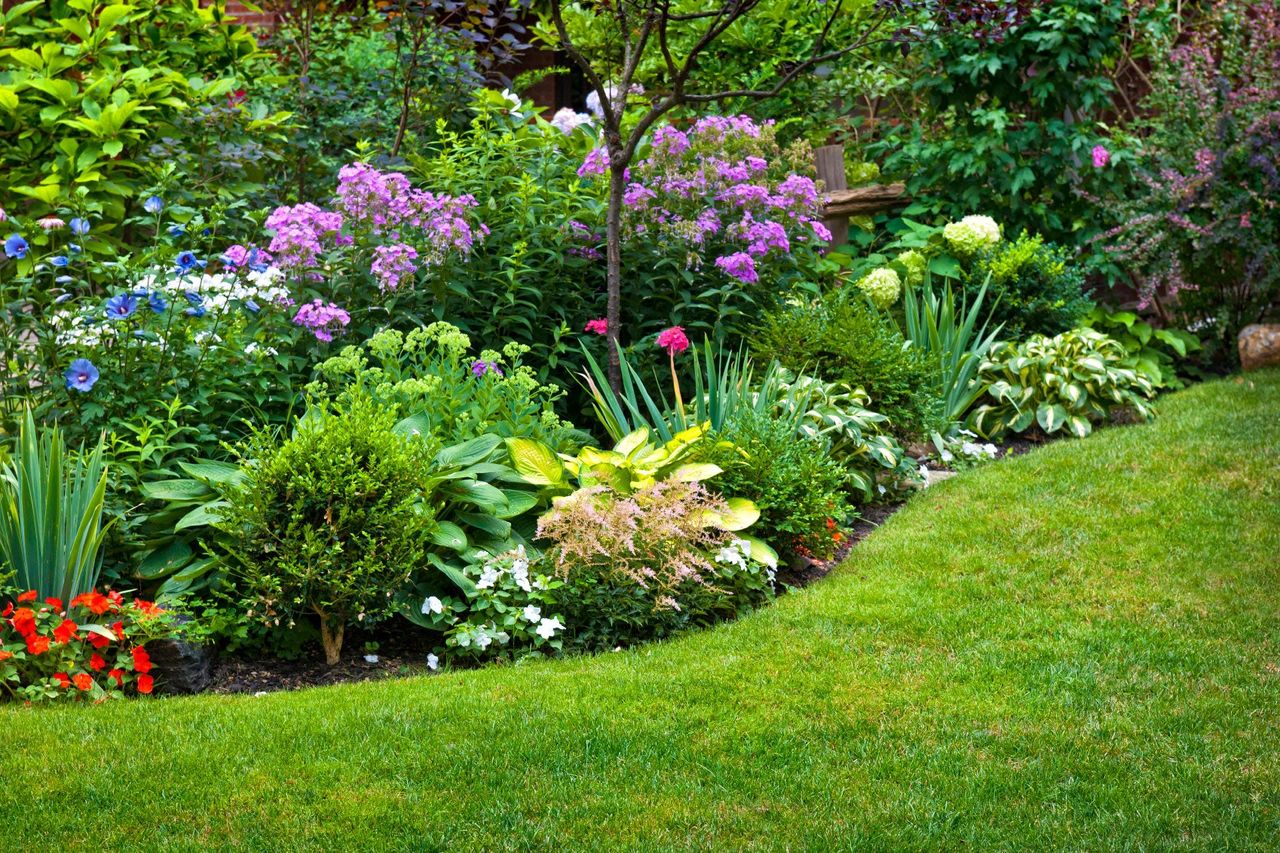 Colorful Perennial Garden