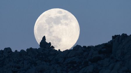 A full moon is photographed rising above a rocky hillside in the dark blue evening sky.