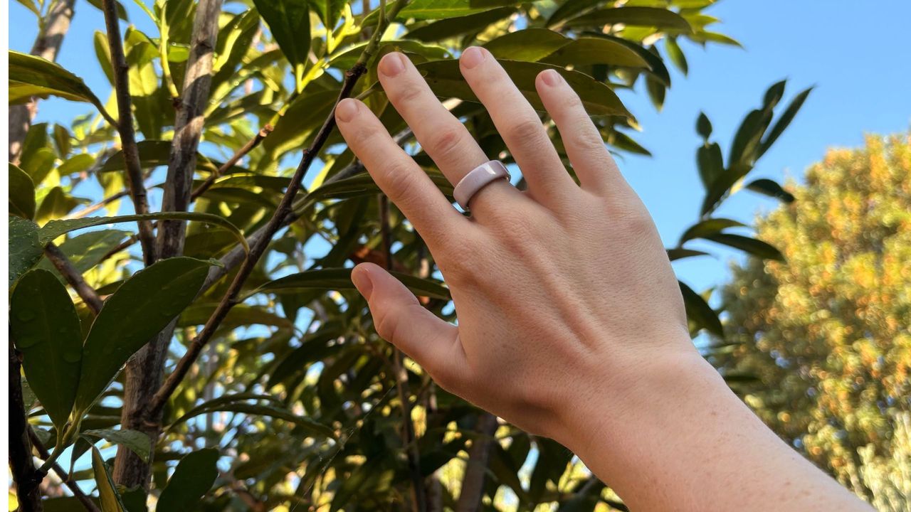 Oura Ring 4 ceramic sitting on finger against tree in sunshine