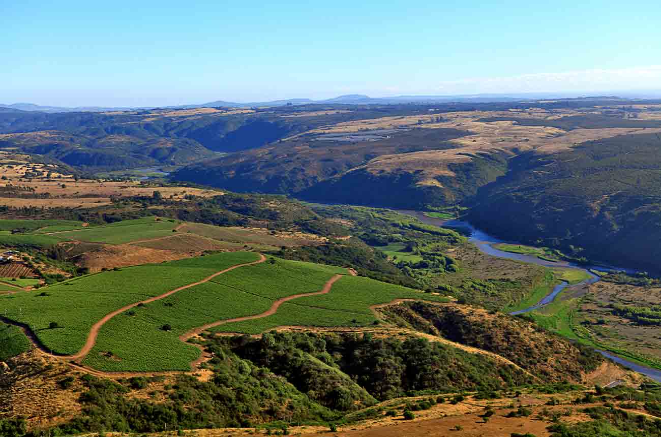 Vi&ntilde;a Leyda's El Granito vineyard in Chile&rsquo;s burgeoning Leyda Valley