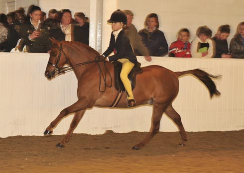 BSPS Winter Champs.19.04.14