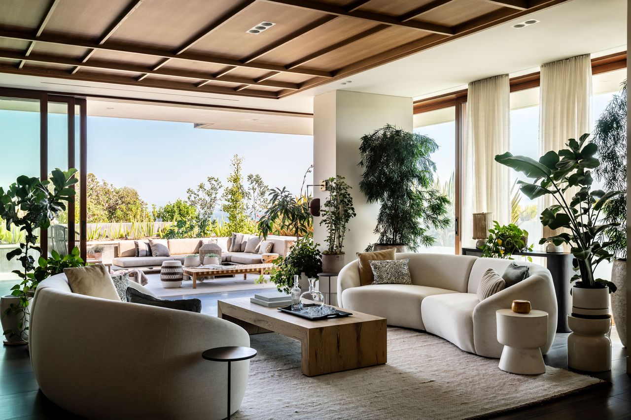a large modern living room with two facing curved sofas