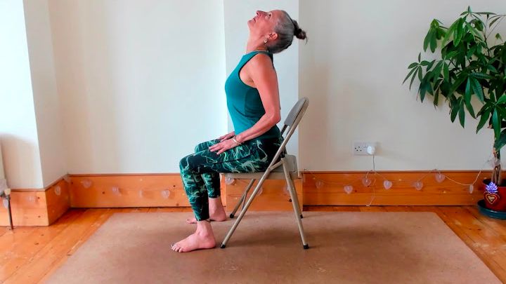 Dina Cohen holding a cow pose