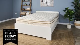 Saatva Classic Mattress, shown here on a blue background, is the best mattress of 2024 for all sleepers