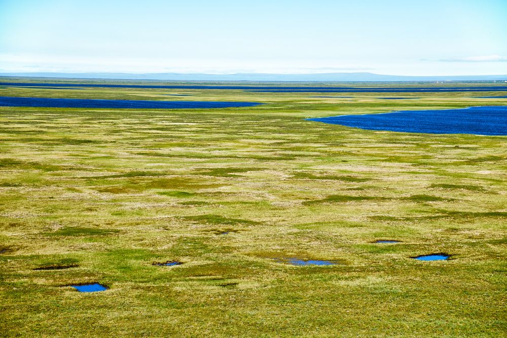 Melting Arctic Could Rapidly Unlock 'Deep Carbon' Buried in Permafrost ...