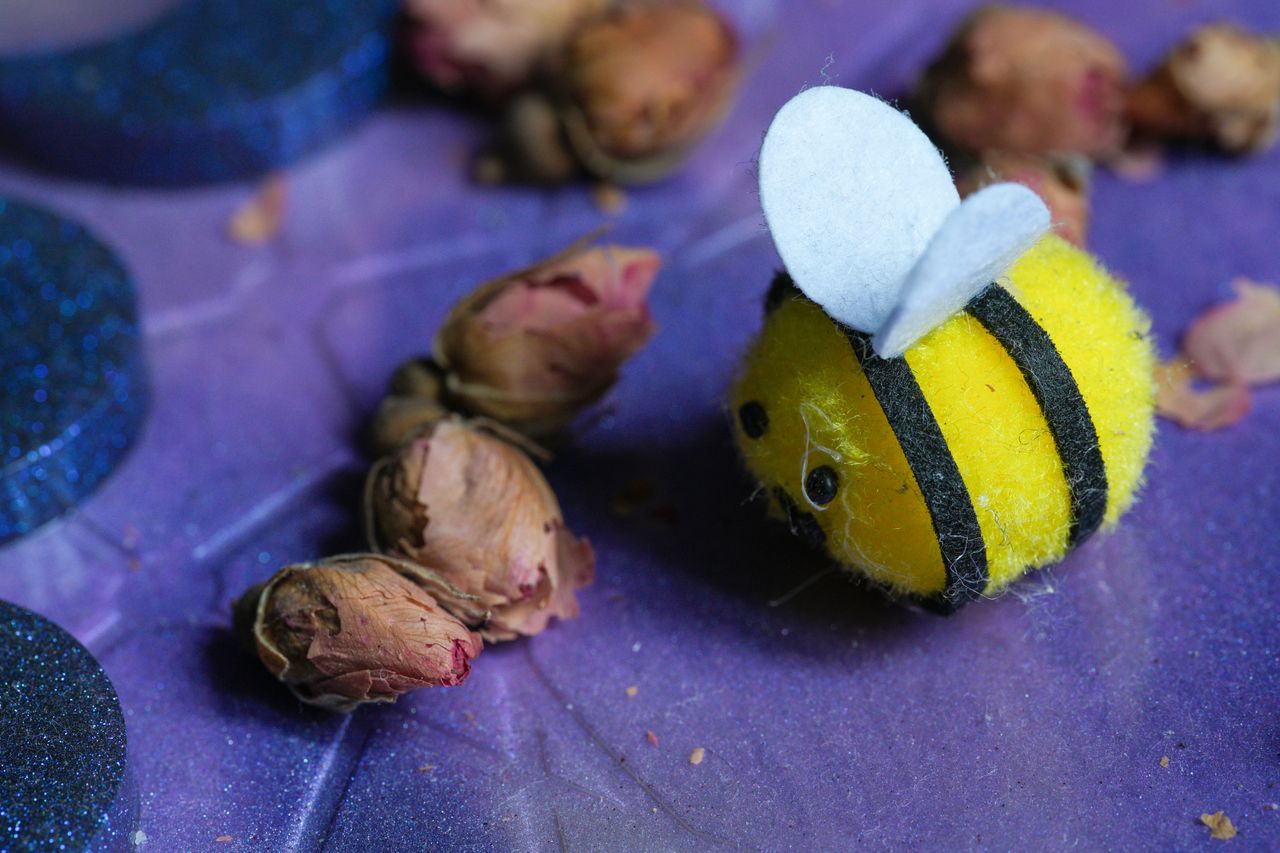 Sample image taken with the Sony FE 100mm f/2.8 Macro GM OSS lens using a Sony A7R V
