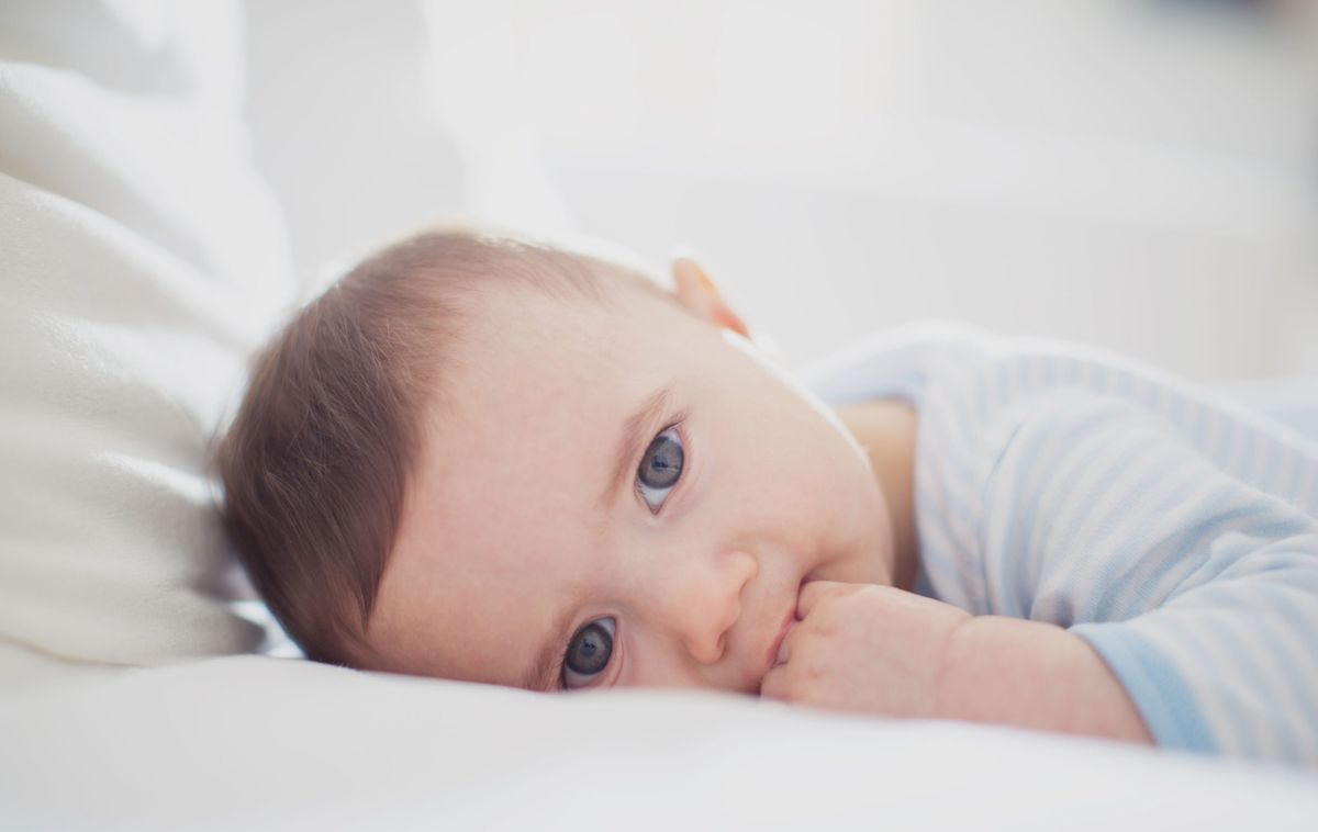 Study reveals eating fish during pregnancy can boost baby's eyesight