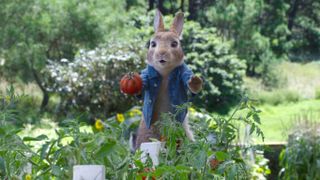 Peter Rabbit 2 movie stills