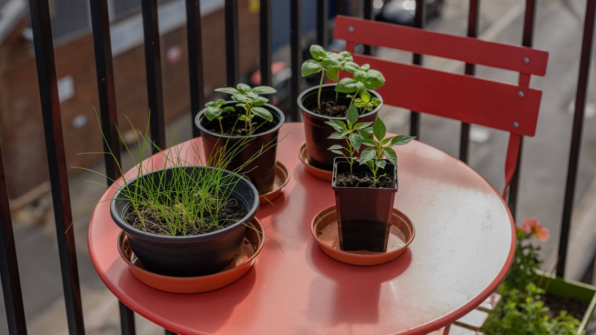 picture of herb plants on top of small bistro set on an urban balcony