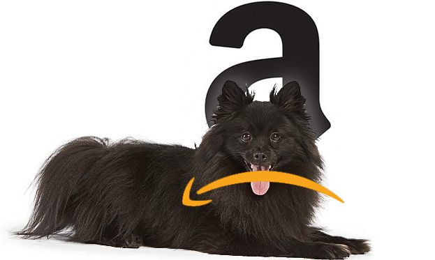 アマゾンはプライムデーの間に下り 取引の代わりに犬を見た