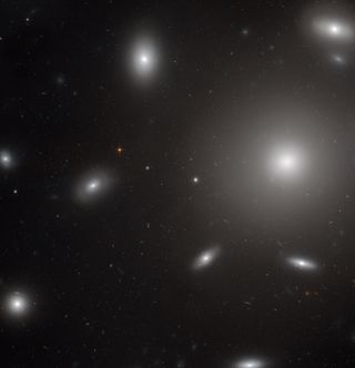 NGC 4874 is a giant elliptical galaxy, about ten times larger than the Milky Way, at the centre of the Coma Galaxy Cluster.