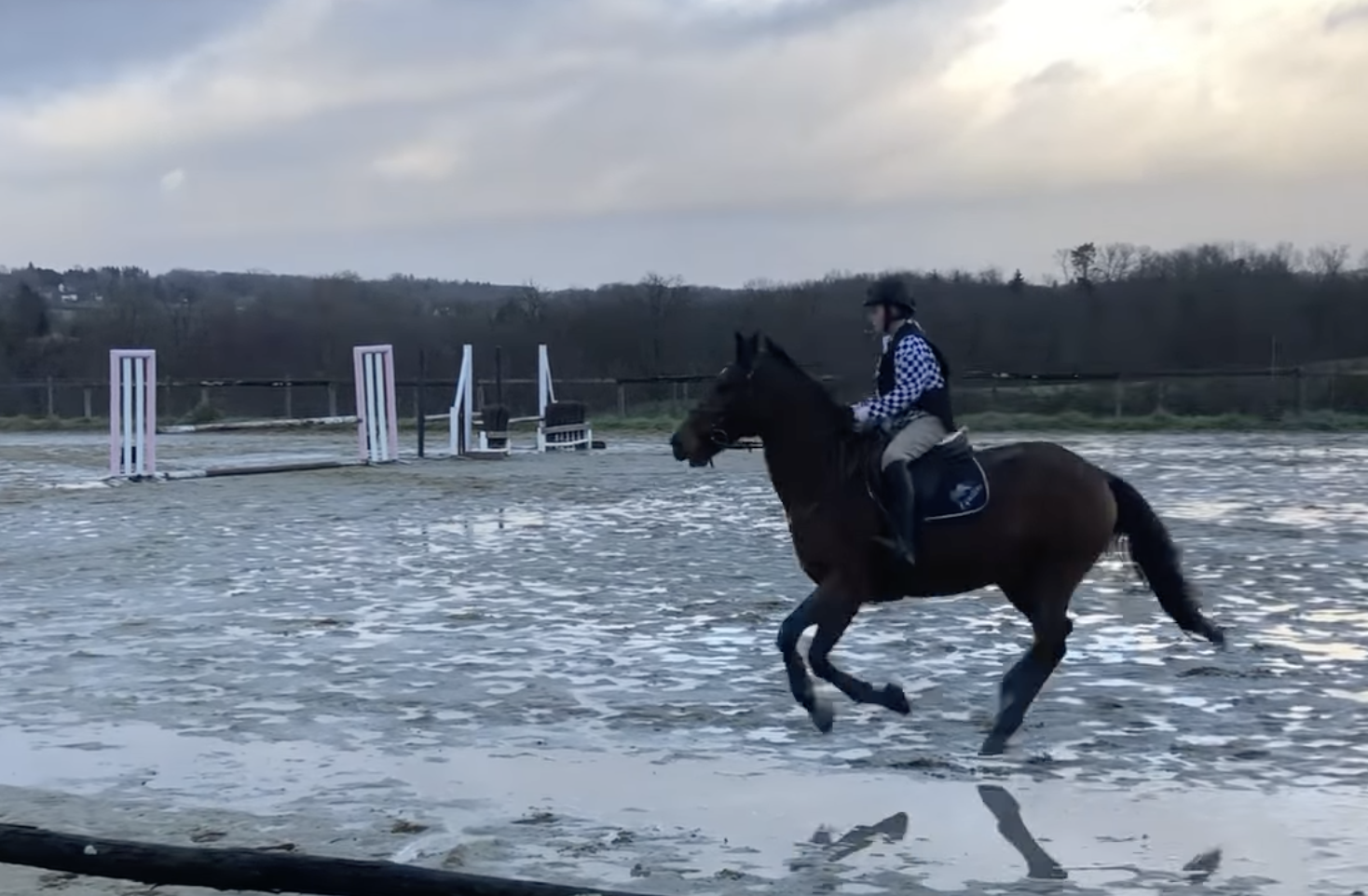 Nicky Charles Harvey Charles riding his dad Nick Charles's retired showjumper Falco Del Tirso