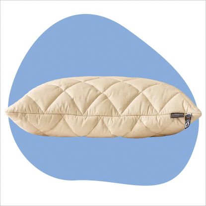 The Woolroom Natural Latex Washable Wool Pillow on a blue background