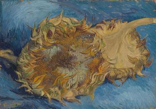 Since Vincent van Gogh's death in 1890, the works of this Dutch expressionist have become some of the most sought-after paintings in the world.
