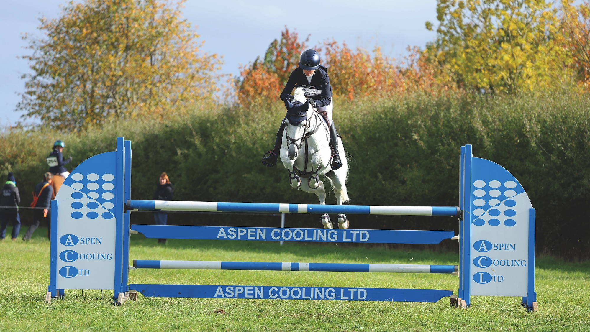 Piggy March and grey stallion Halo jump a showjumping fence