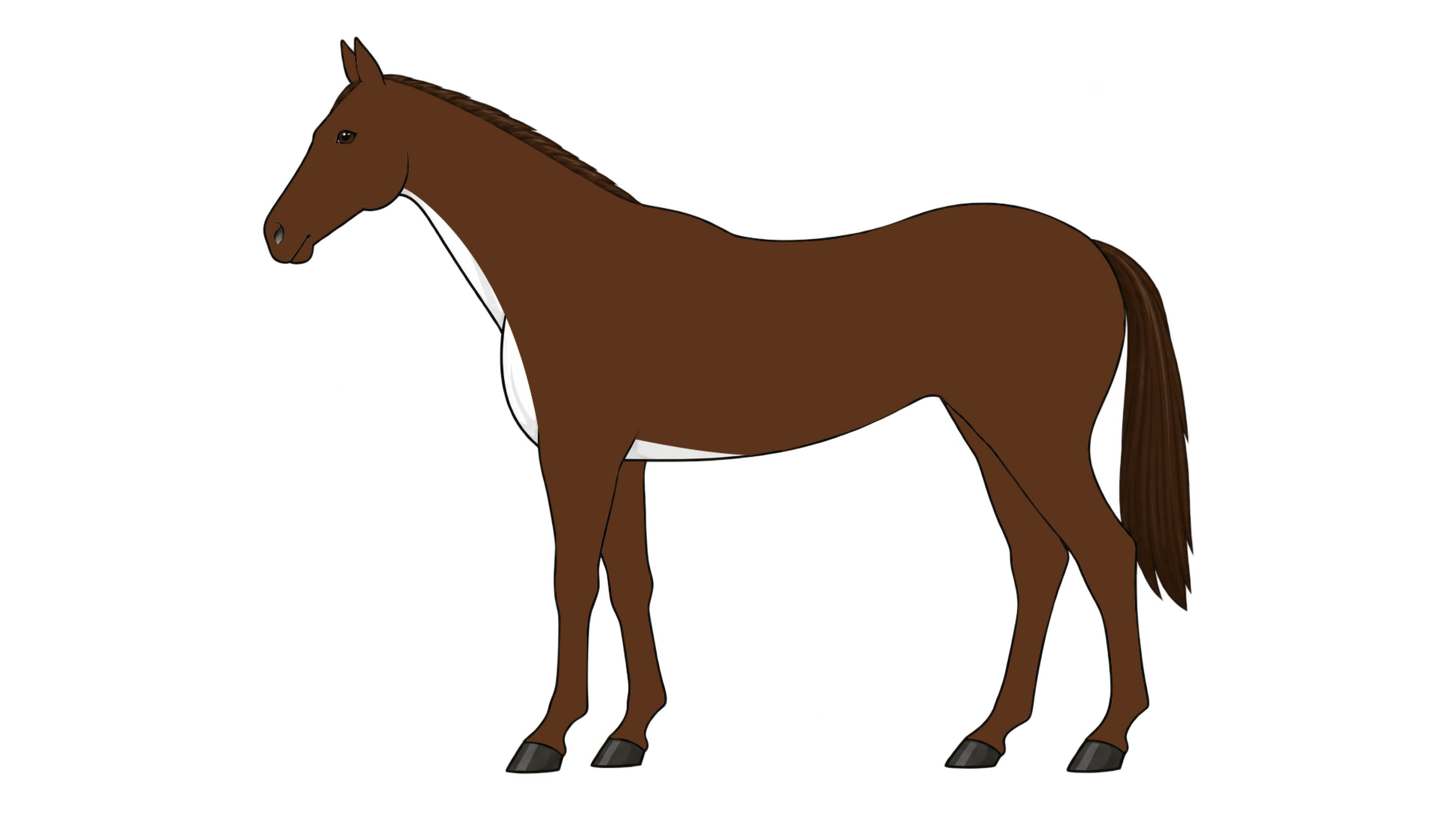 Diagram of bib clip, with hair taken off under the neck and girth area