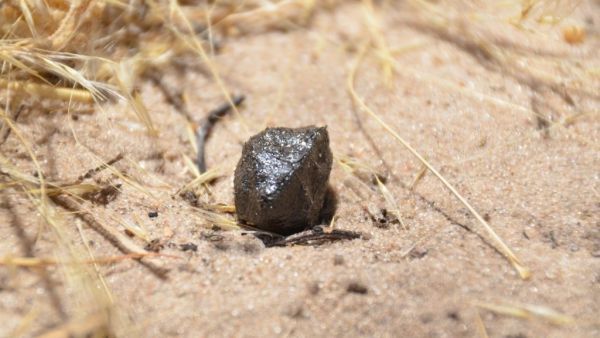 Meteorite that landed in Botswana tracked to its birthplace in the asteroid belt