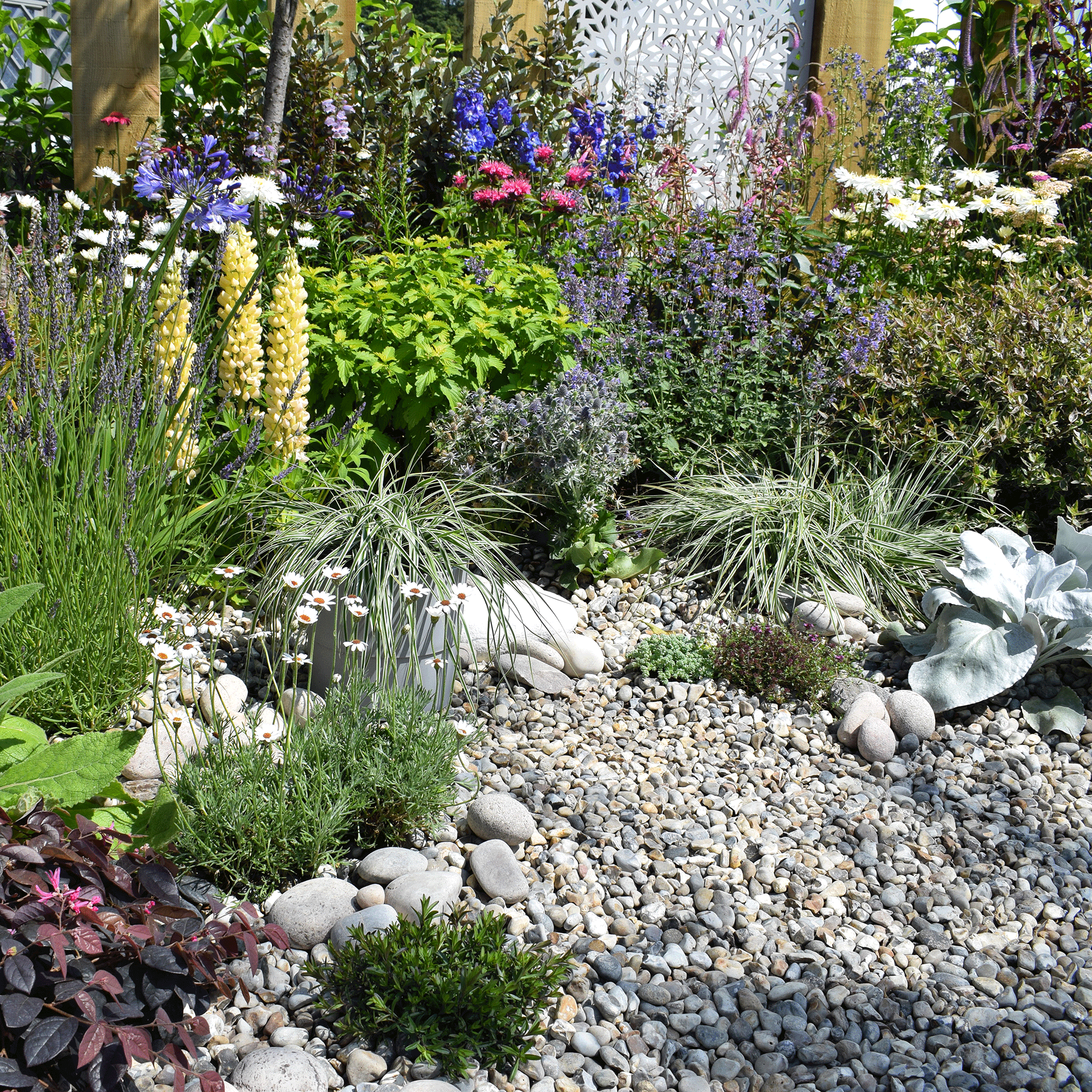 Drought Tolerant planting with gravel