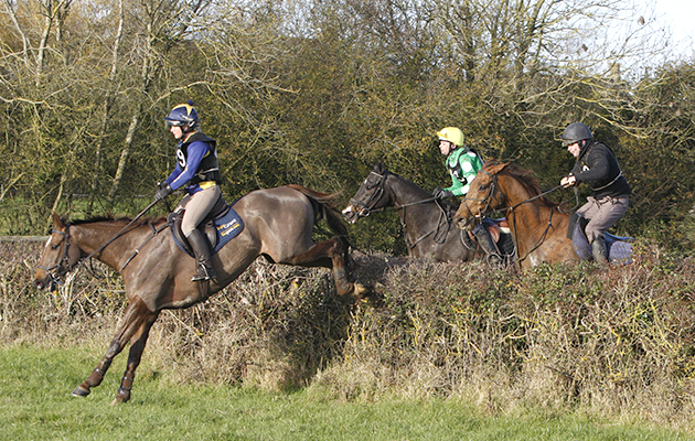 Daylesford Cup