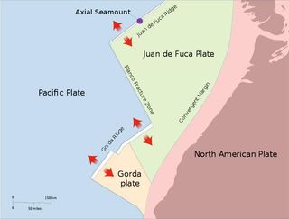 The Juan de Fuca ridge lies between the separating Pacific and Juan de Fuca tectonic plates.