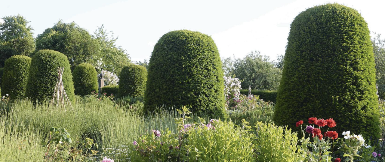 Dome guard: shadows play on the yew topiary forms standing sentinel in Isabel Bannerman&#039;s garden.