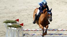 Lizziemary embryo auction