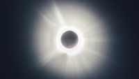 brilliant white prominences jet out from behind the moon, dimly faced in front of the sun.