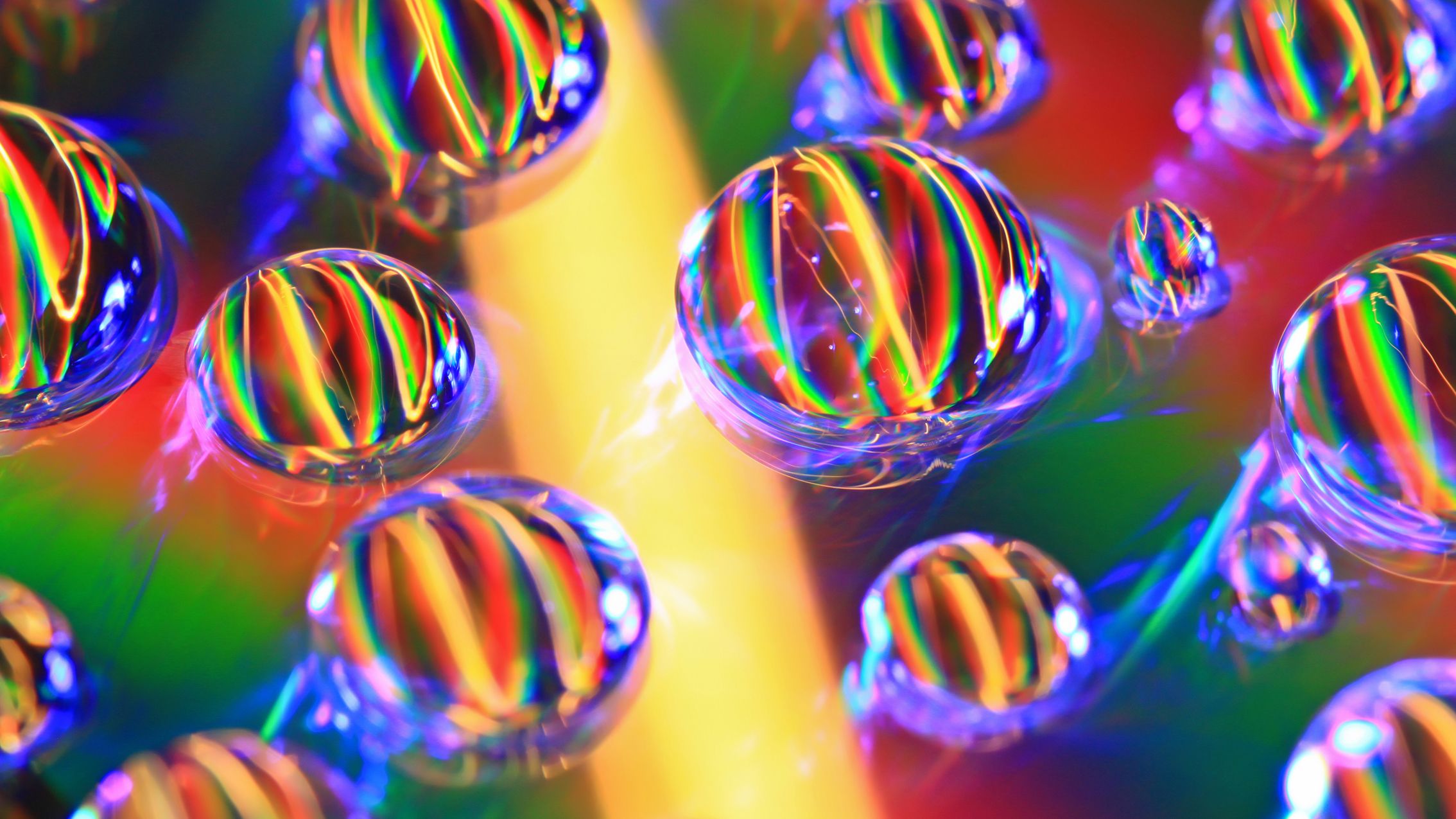 DSLR Macro Photo Achieves Unique